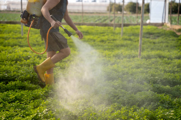 Best Pest Prevention Services  in Mountain Lake, MN