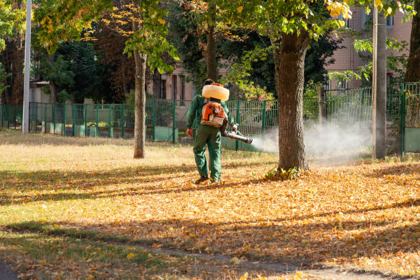 Best Residential Pest Control  in Mountain Lake, MN